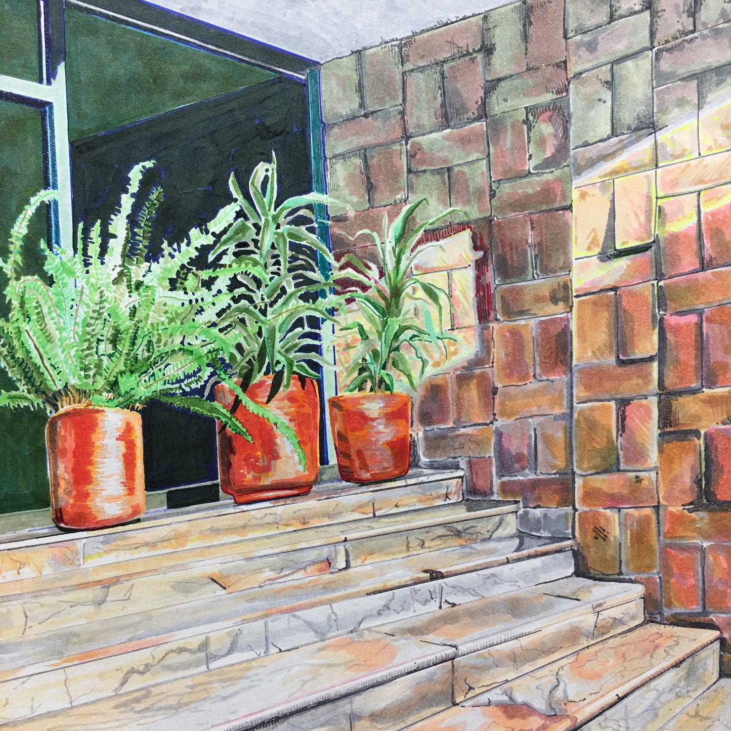 Sun vs. Shadow in CDMX no.1