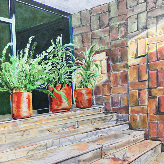 Sun vs. Shadow in CDMX no.1